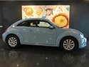 beetle123.jpg
